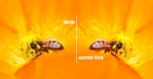 sRGB vs Adobe RGB en Impresión de Fotos: ¿Cuál es la Mejor Opción para tus Imágenes?