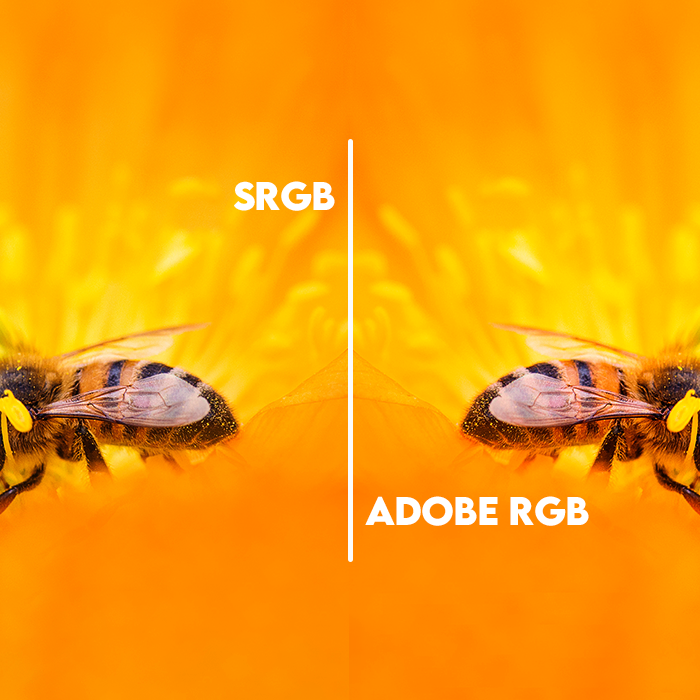 sRGB vs Adobe RGB en Impresión de Fotos: ¿Cuál es la Mejor Opción para tus Imágenes?