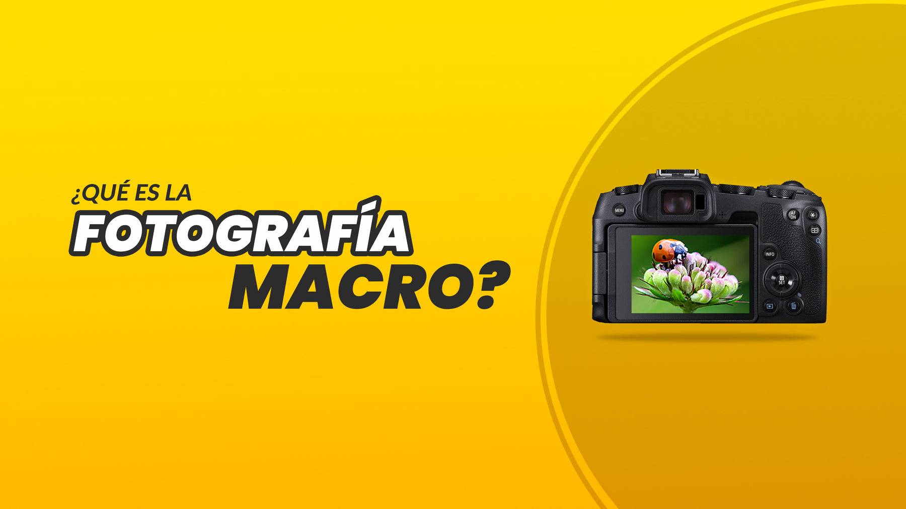 ¿Qué es la Fotografía Macro?