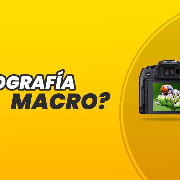¿Qué es la Fotografía Macro?
